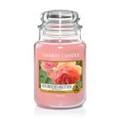 Yankee Candle Sun-drenched Apricot Rose Doftljus Large 