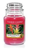 Yankee Candle Tropical Jungle Doftljus Large 