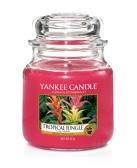 Yankee Candle Tropical Jungle Doftljus Medium 