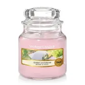 Yankee Candle Sunny Daydream Doftljus Small 