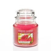 Yankee Candle Pink Dragon Fruit Mellan burk 