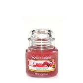 Yankee Candle Cranberry Ice Doftljus Small 