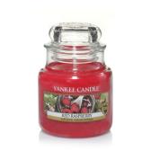Yankee Candle Red Raspberry Doftljus Small 
