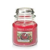 Yankee Candle Red Raspberry Doftljus Medium 